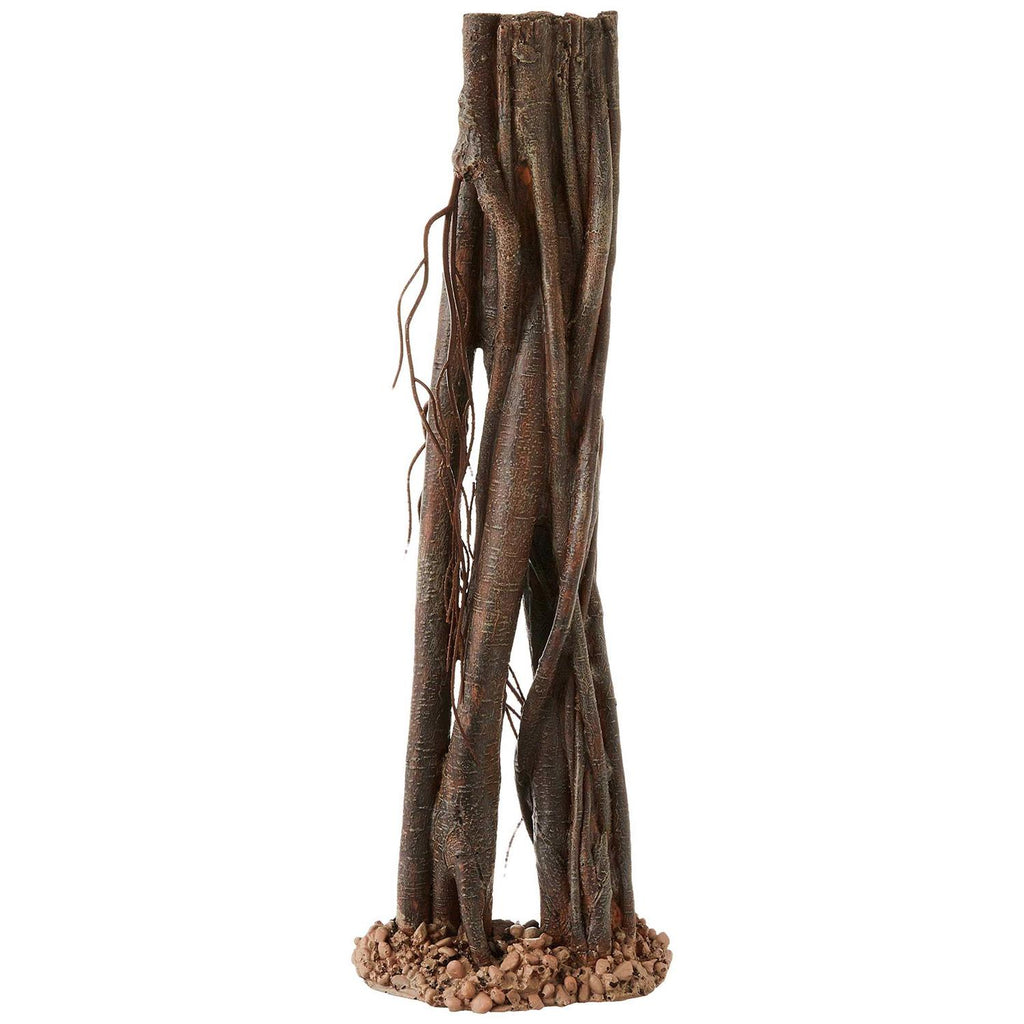 Mangrove Root V5437