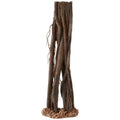 Mangrove Root V5437