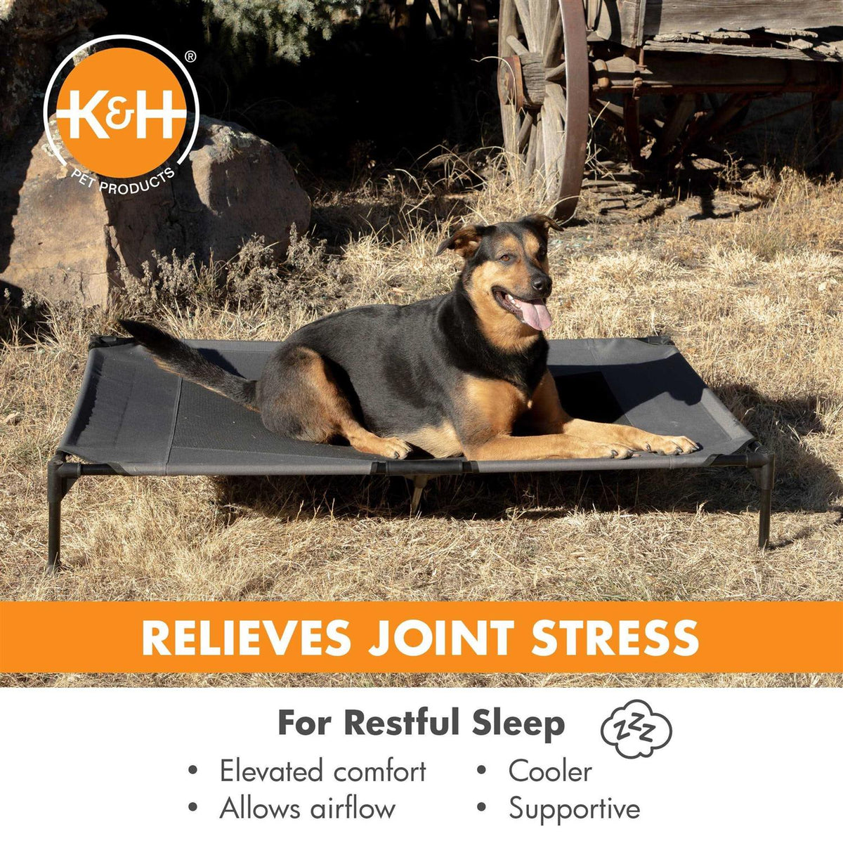 Realtree Pet Cot X65298