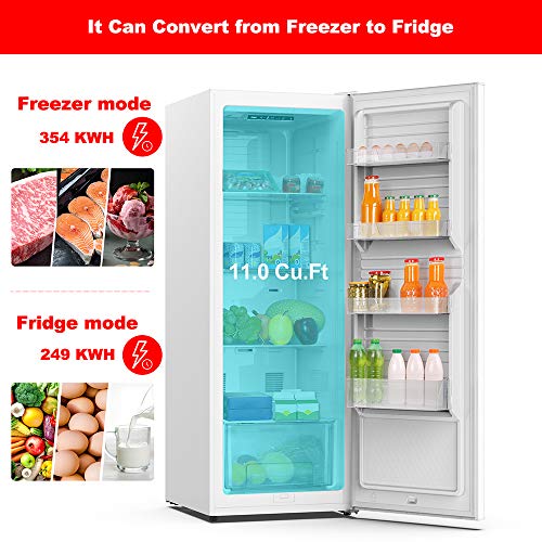 Convertible Freezer/Fridge C301