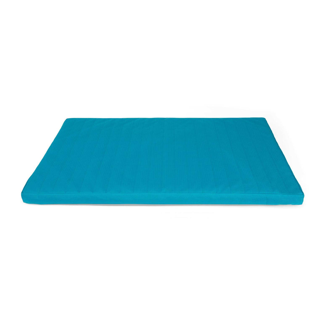 Teal Dog Mat F788706