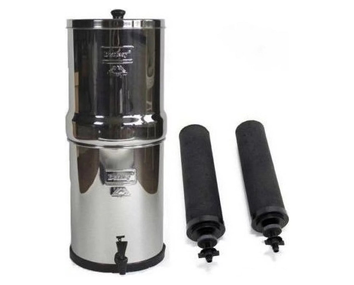Stainless Steel Water Filtration System with 2 Black Filters A729
