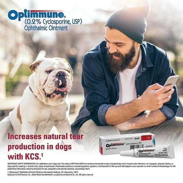 Ophthalmic Ointment for Dogs M987818