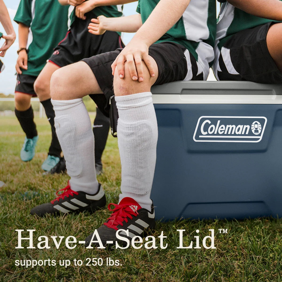 52QT Hard Cooler C5318