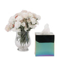 Iridescent Rainbow Facial Tissue Box Cover Holder B119