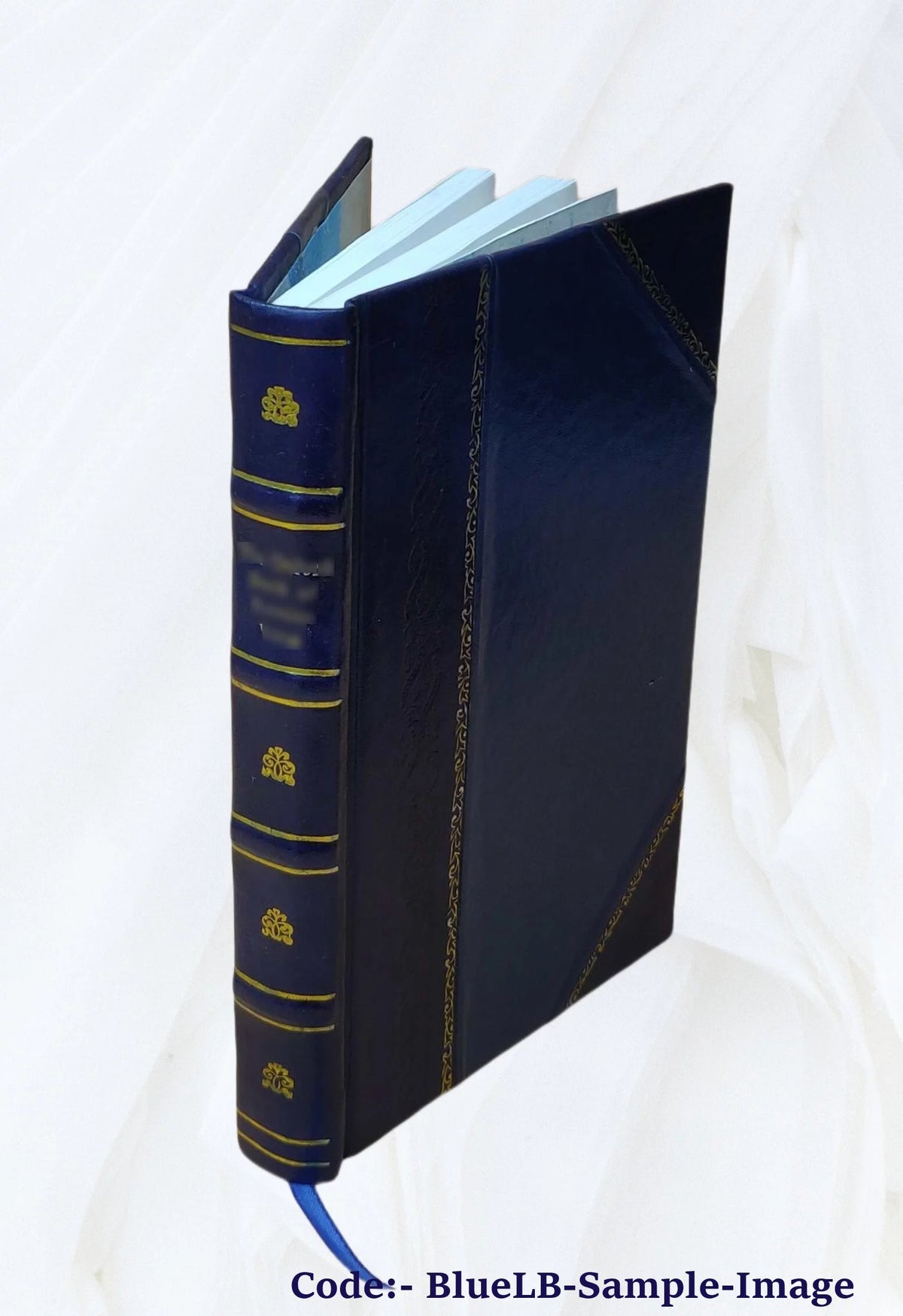 Domestic Life in England Leather Bound S10588