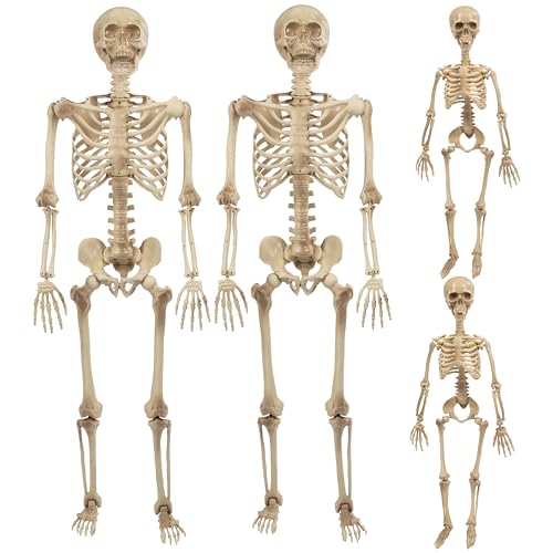 Life Size Posable Human Skeleton 4pk H1185