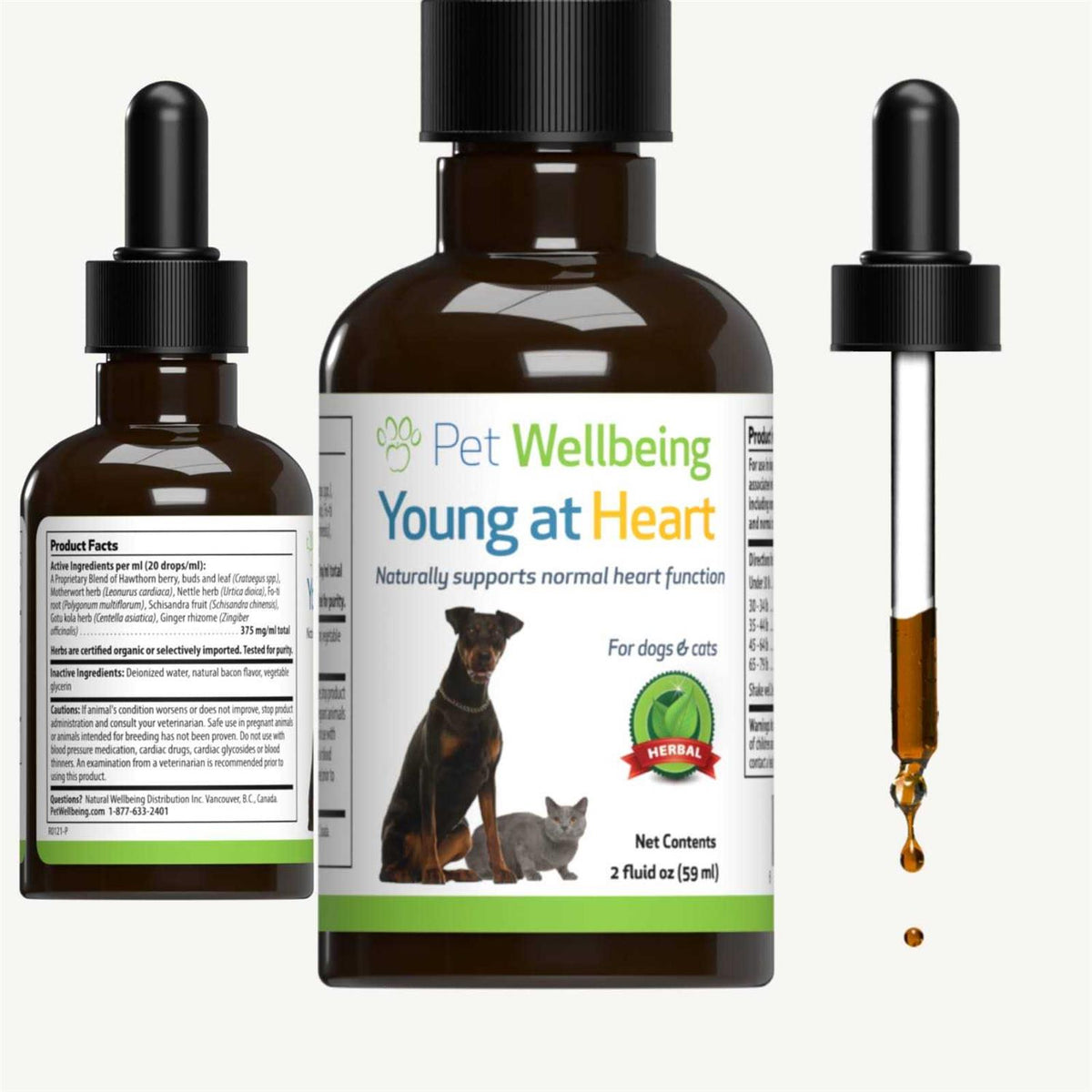 Young at Heart for Cats Q21375