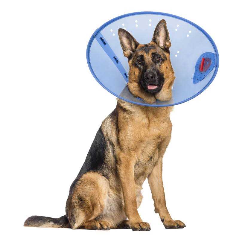 Calming Dog E-Collar M948728