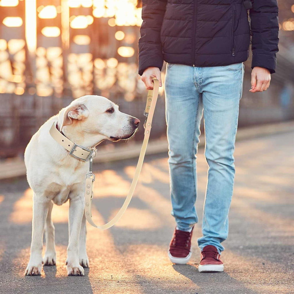 Waterproof Dog Leash with 2 Hooks O403834