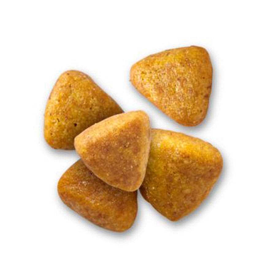 Chicken Flavor Dry Cat Food Z232