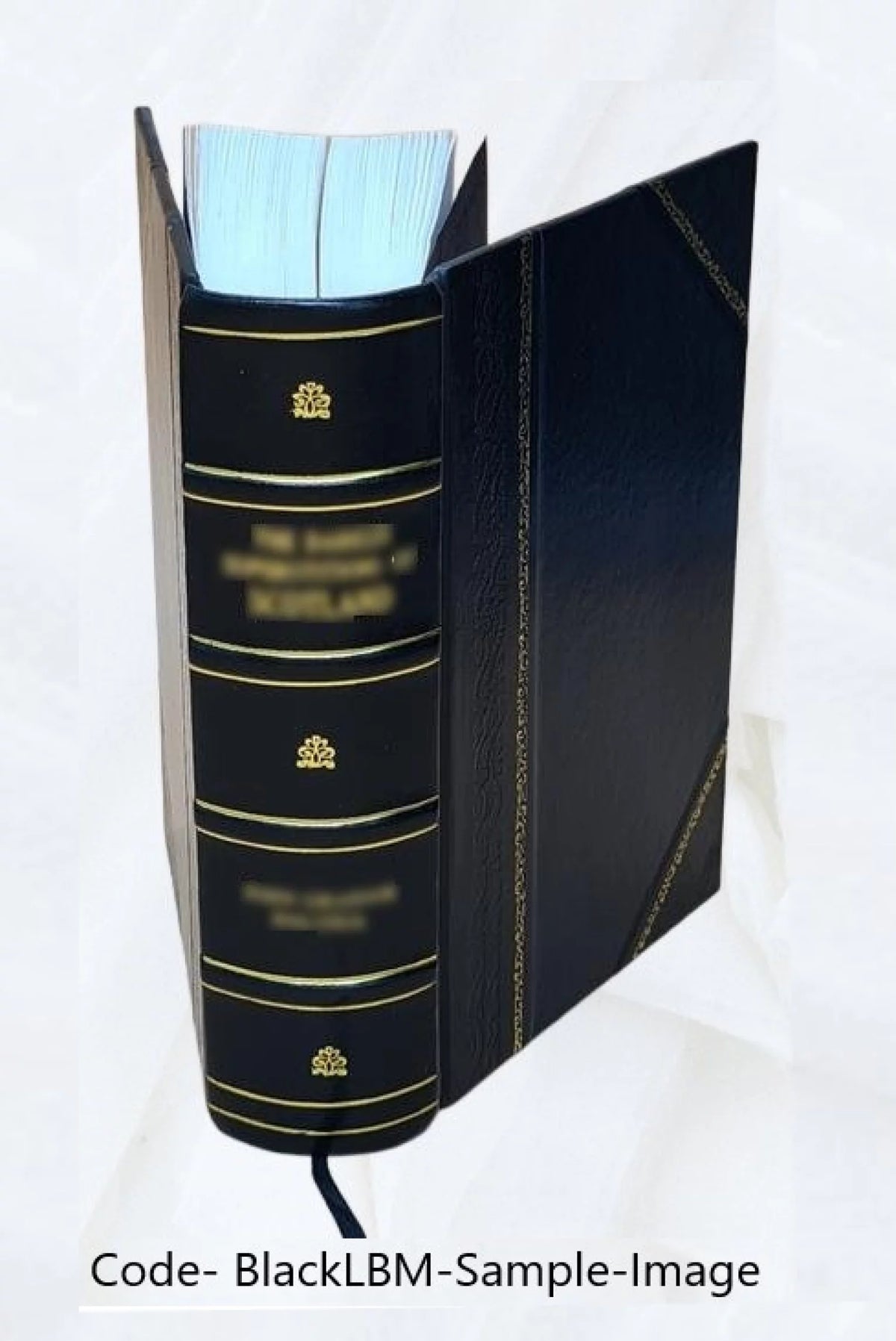 Leather Bound Tale for Real Life A748023