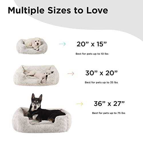 Rectangular Dog Bed K238042
