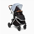 Single Stroller V35789