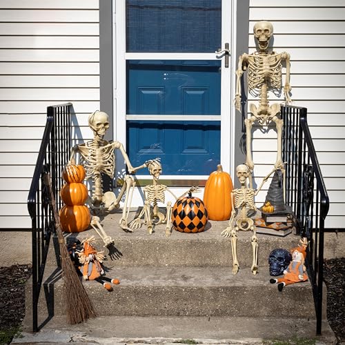 Life Size Posable Human Skeleton 4pk H1185