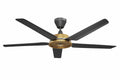Black Ceiling Fan W593