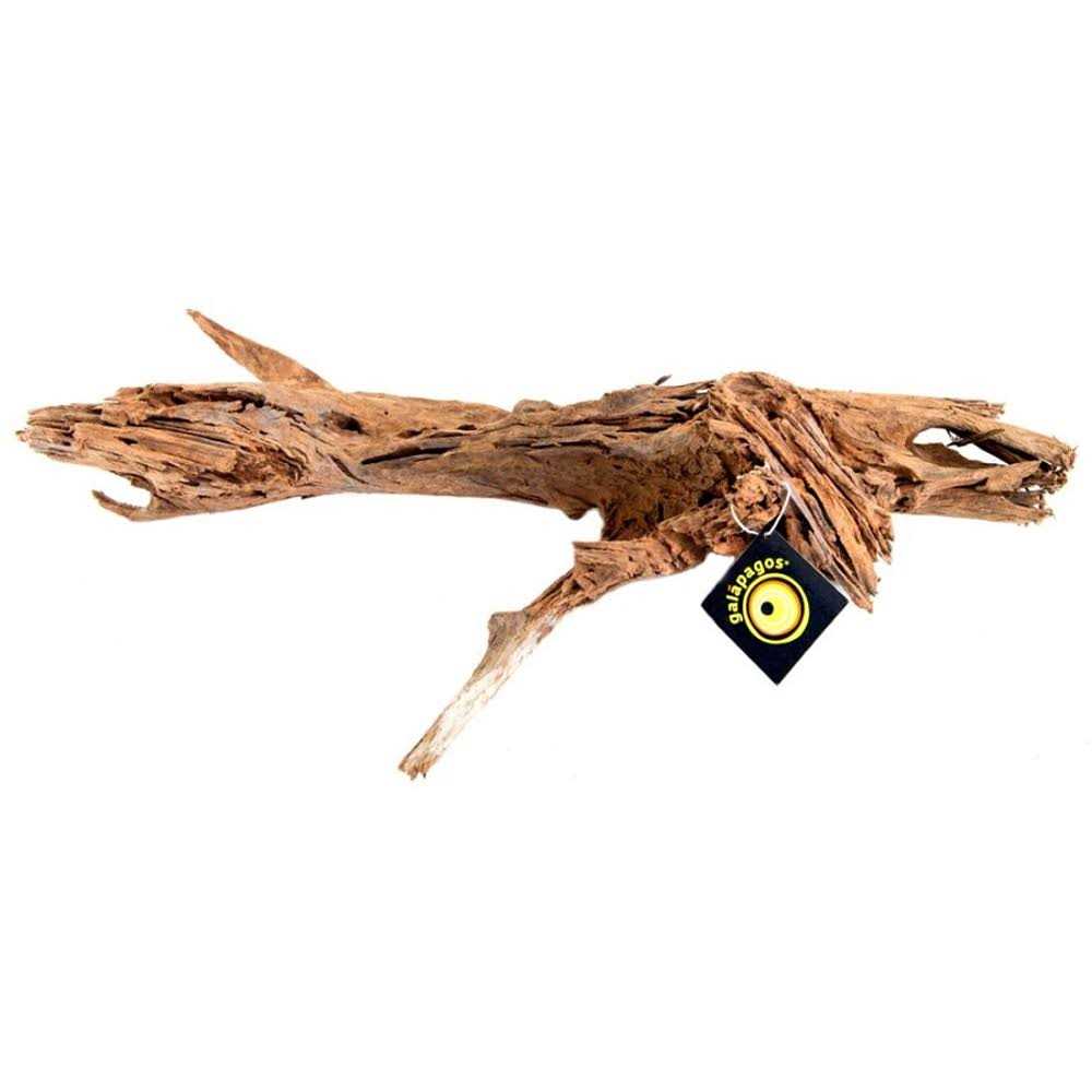 Driftwood Pet Supplies Q973252