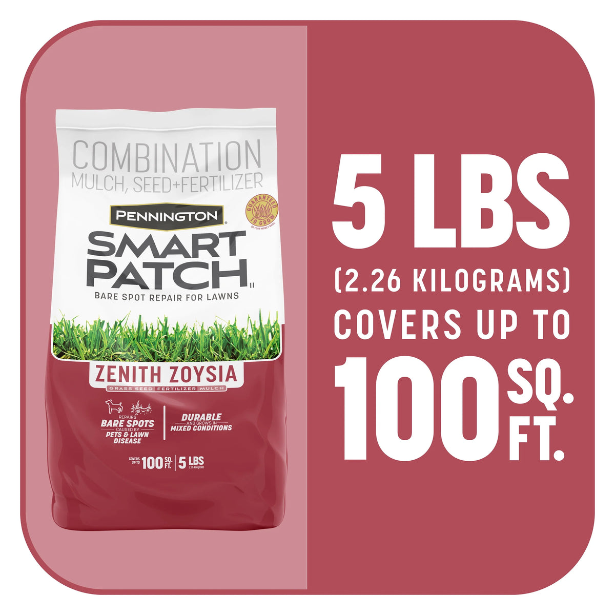 Zoysia Grass Seed 5 lb P7727