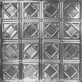 Brushed Satin Nickel 2 ft. x 2 ft. Tin Ceiling Tile N476914