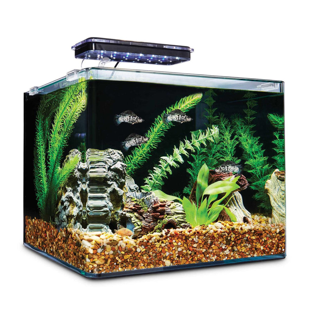 Frameless Freshwater Aquarium Kit S658