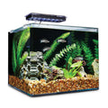 Frameless Freshwater Aquarium Kit S658