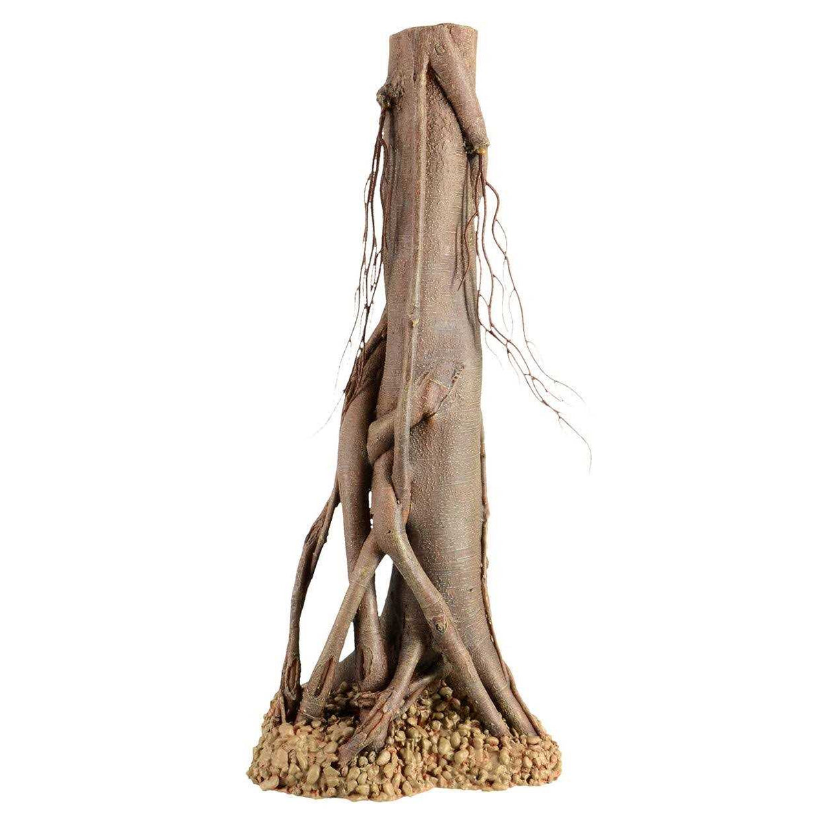 Mangrove Root V5437
