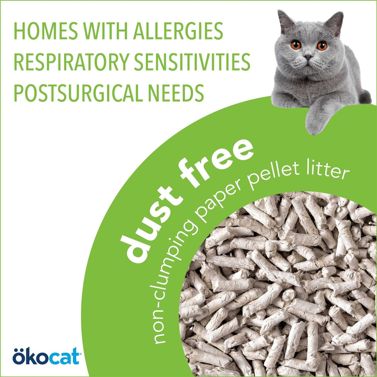 Dust Free Non-Clumping Paper Pellet Cat Litter E465