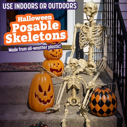 Life Size Posable Human Skeleton 4pk H1185