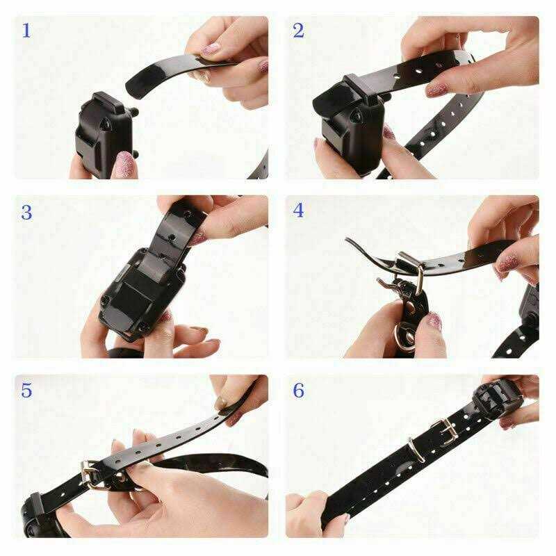 Dog Training Collar U49508