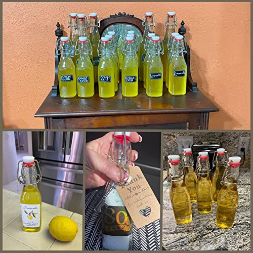 Set of 6 8.5oz Swing Top Glass Bottles J8844