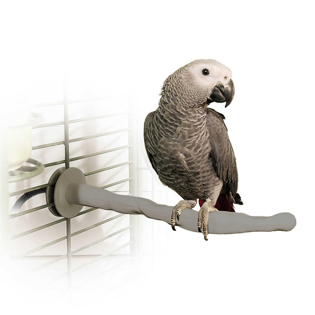 Bird Thermo-Perch X669