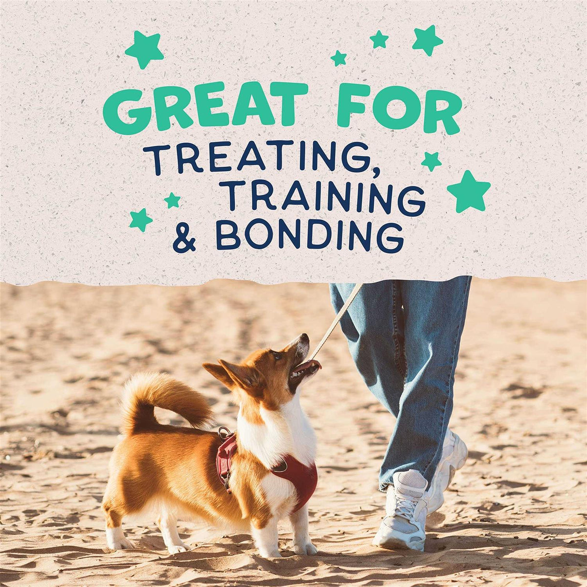 Sweet Potato & Chicken Dog Treats A338