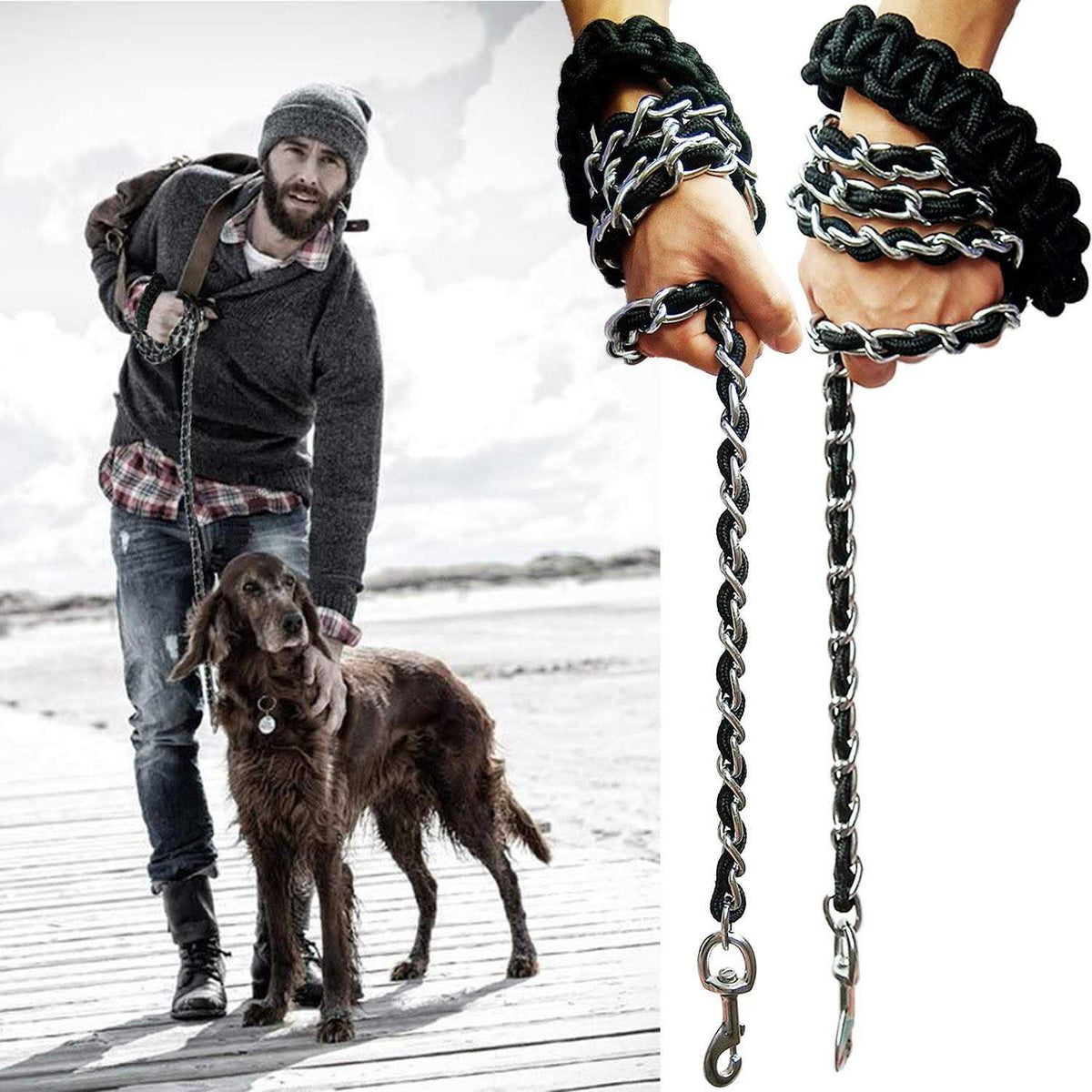Heavy Duty Metal Dog Leash with Collar N624262