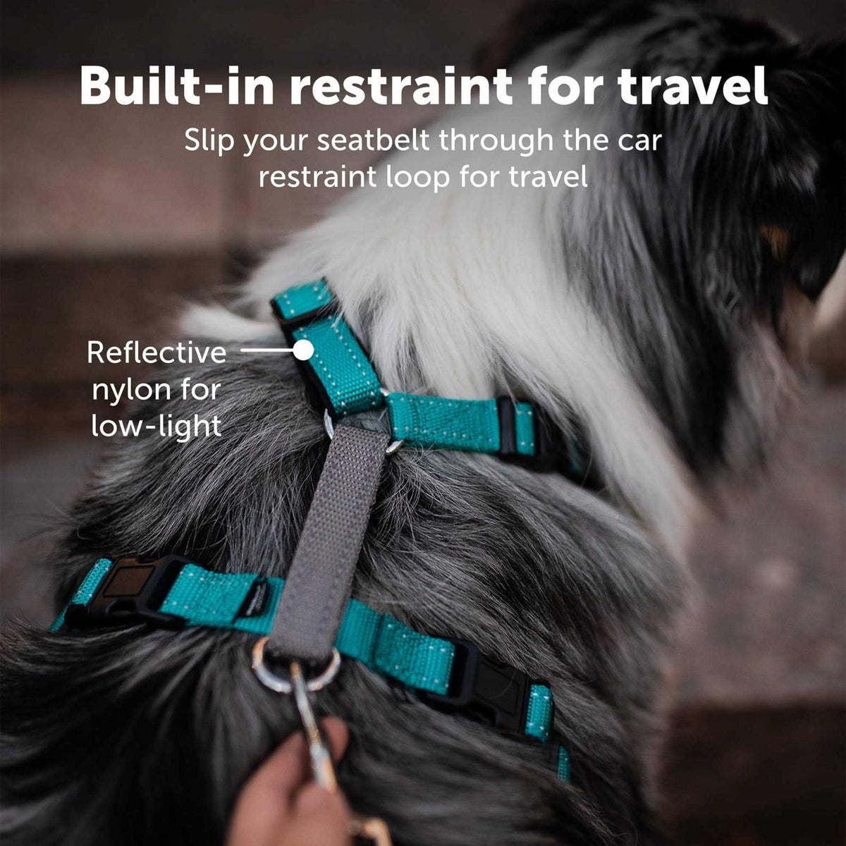3 in 1 Harness W40011