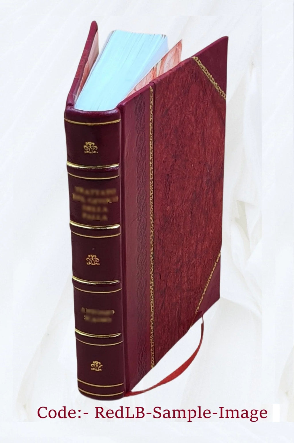 Domestic Life in England Leather Bound S10588