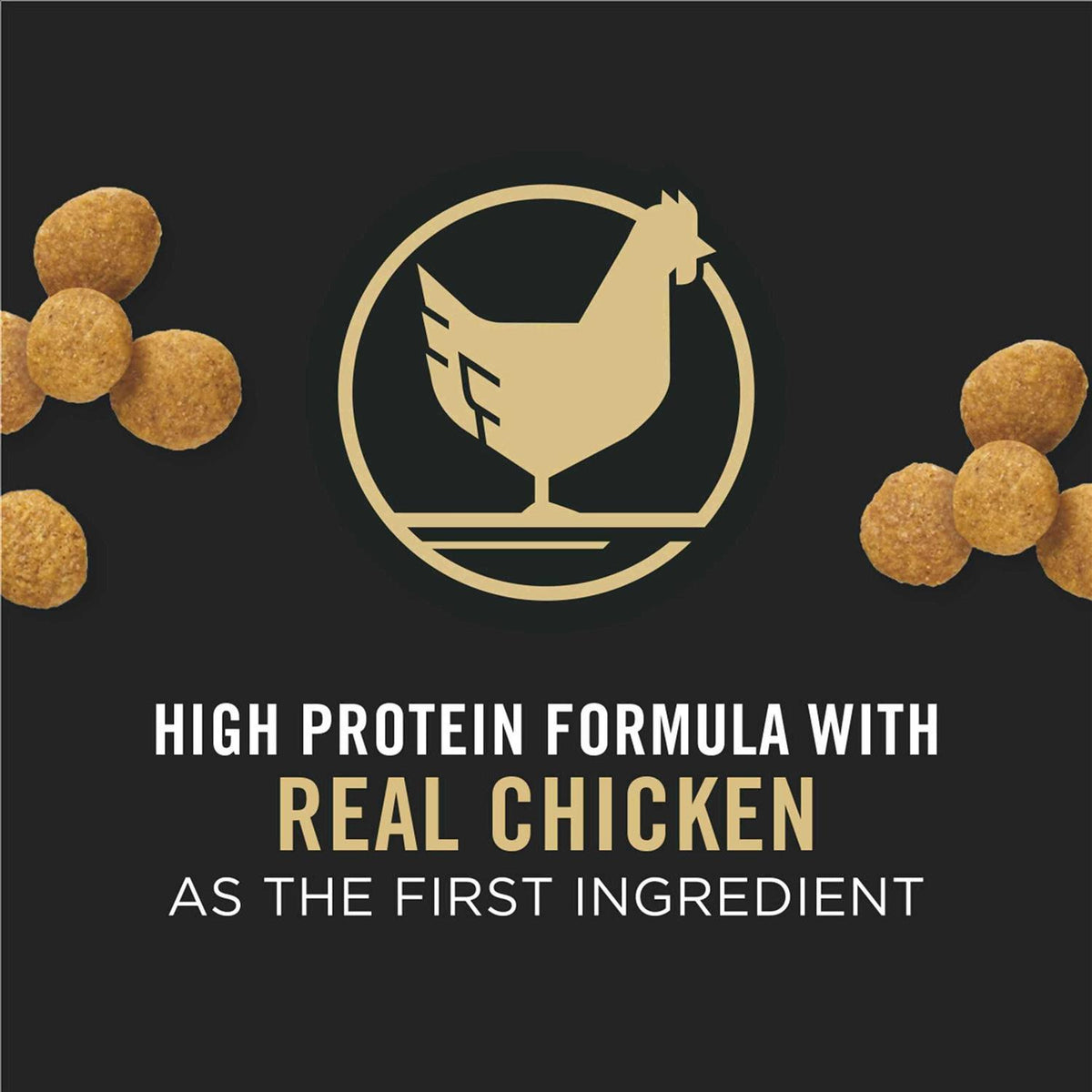 Chicken & Rice Formula Large Breed Dry Puppy Food N8413
