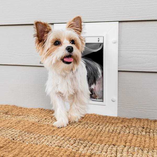 Wall Entry Pet Door N48535