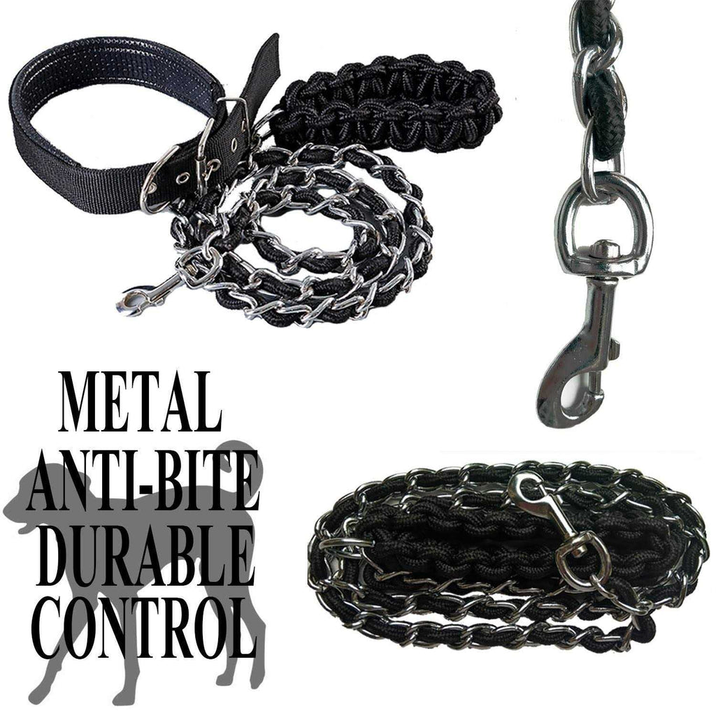 Heavy Duty Metal Dog Leash with Collar N624262