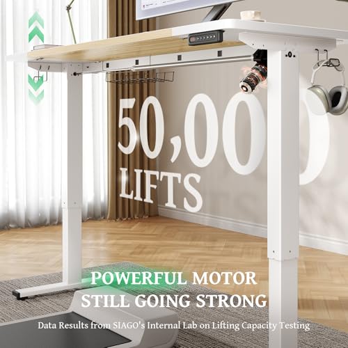 Electric Standing Desk 48 x 24 Inch with Cable Management A5341