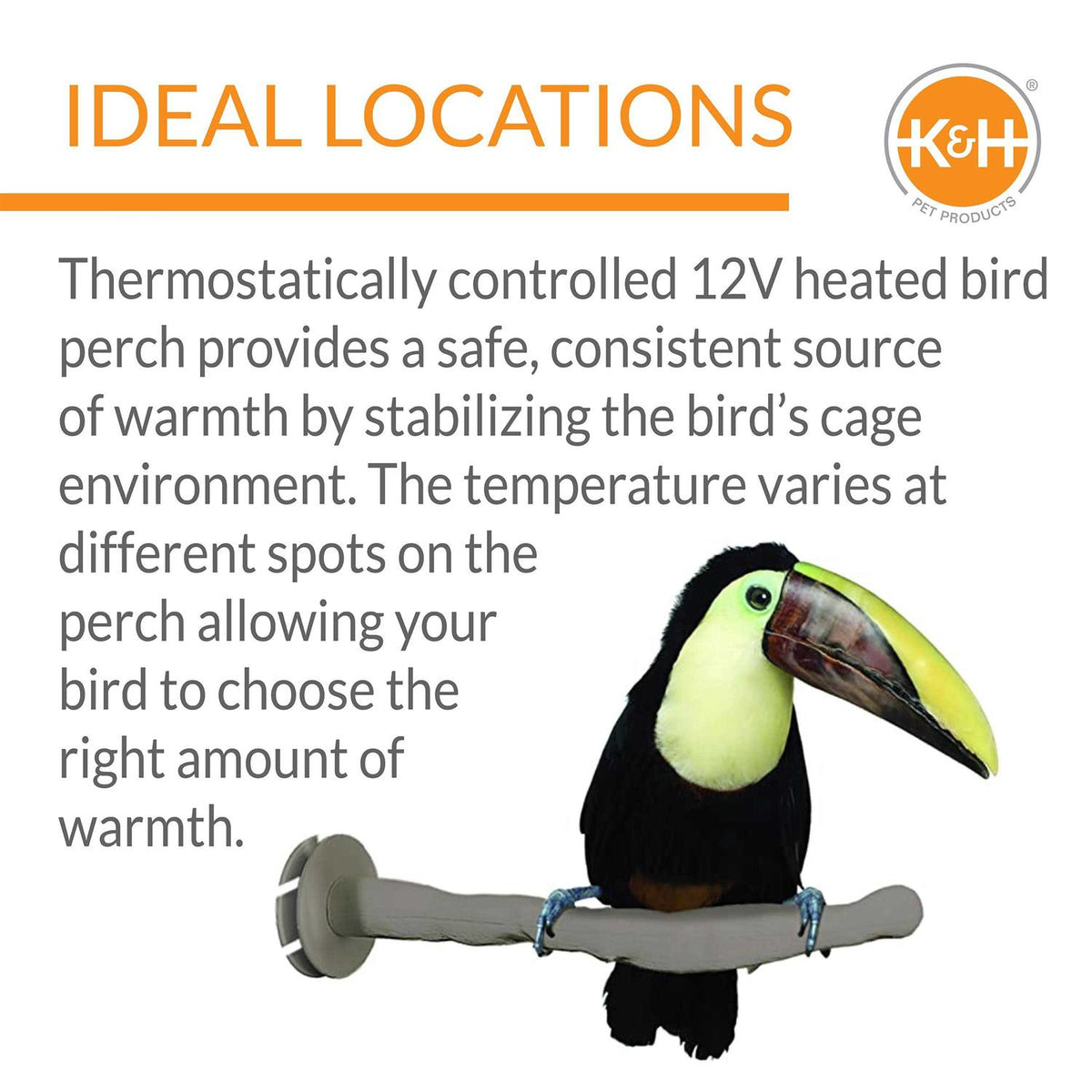 Bird Thermo-Perch X669