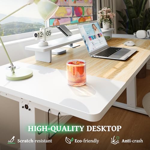 Electric Standing Desk 48 x 24 Inch with Cable Management A5341