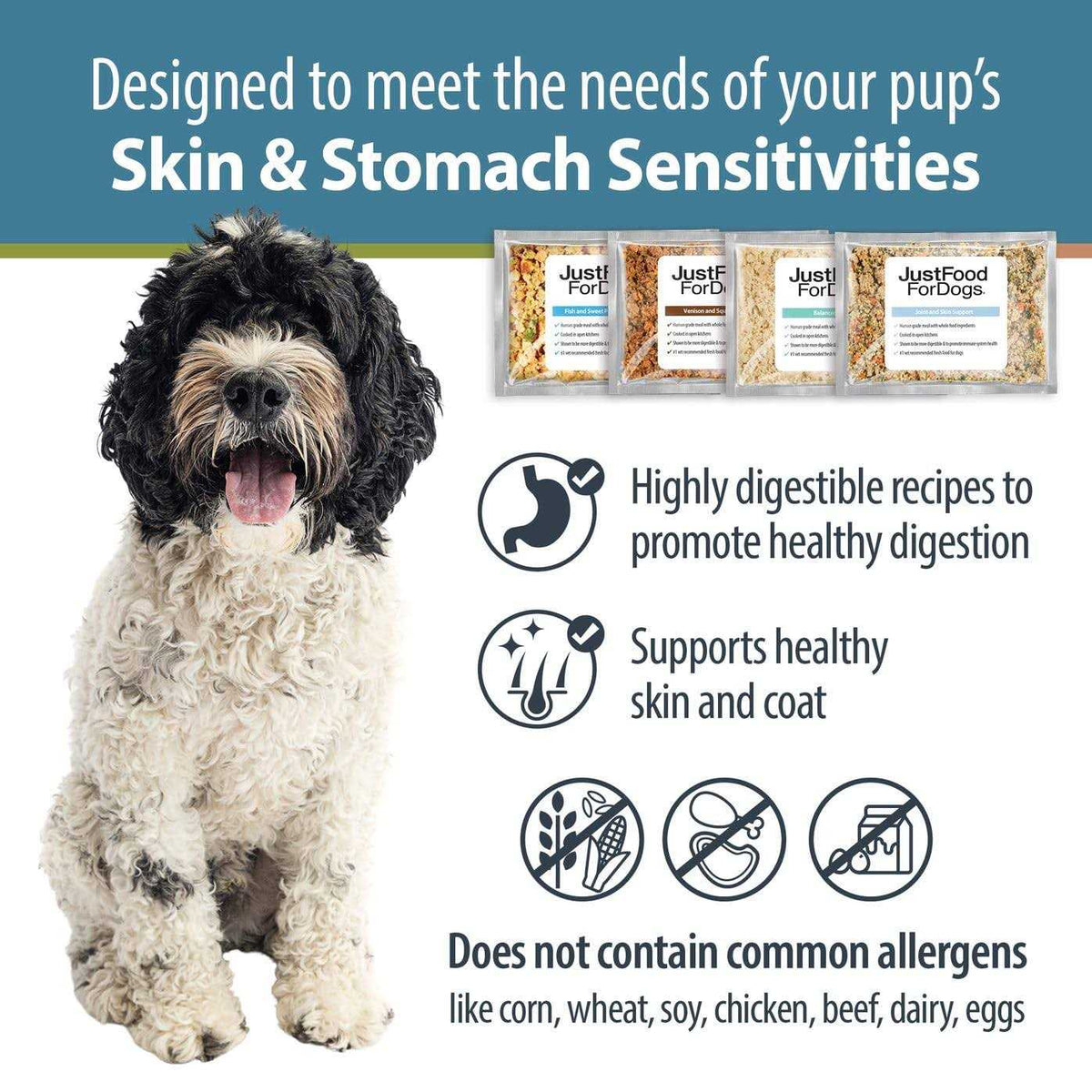 Frozen Fresh Dog Food U2934