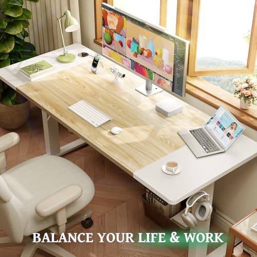 Electric Standing Desk 48 x 24 Inch with Cable Management A5341