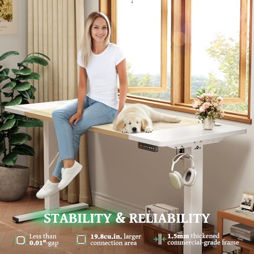 Electric Standing Desk 48 x 24 Inch with Cable Management A5341