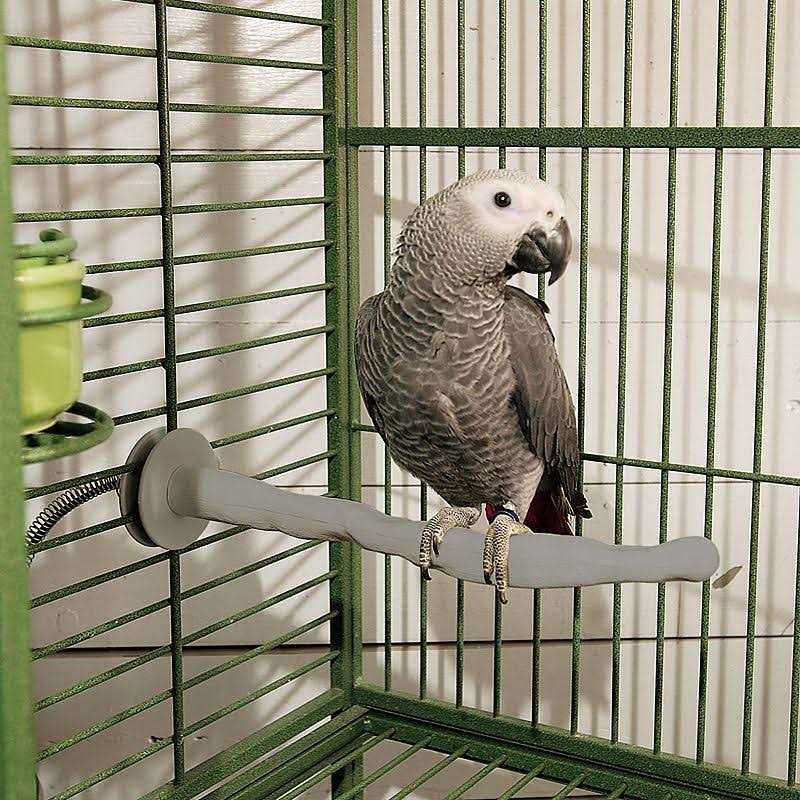 Bird Thermo-Perch U210389