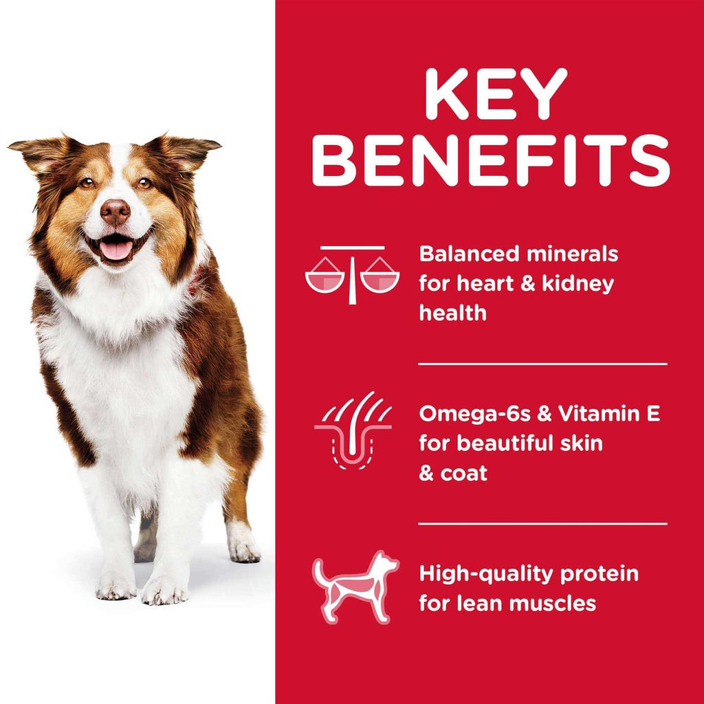 Chicken Adult 7+ Dog Food D35803