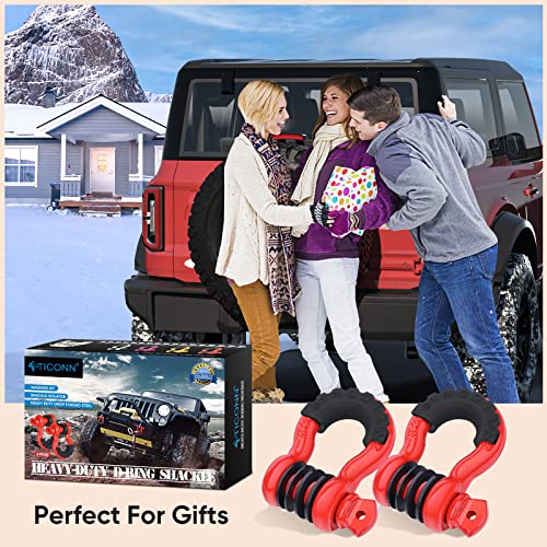 2 Pack D Ring Shackle with 7/8" Screw Pin Heavy Duty Isolator & Washers X755