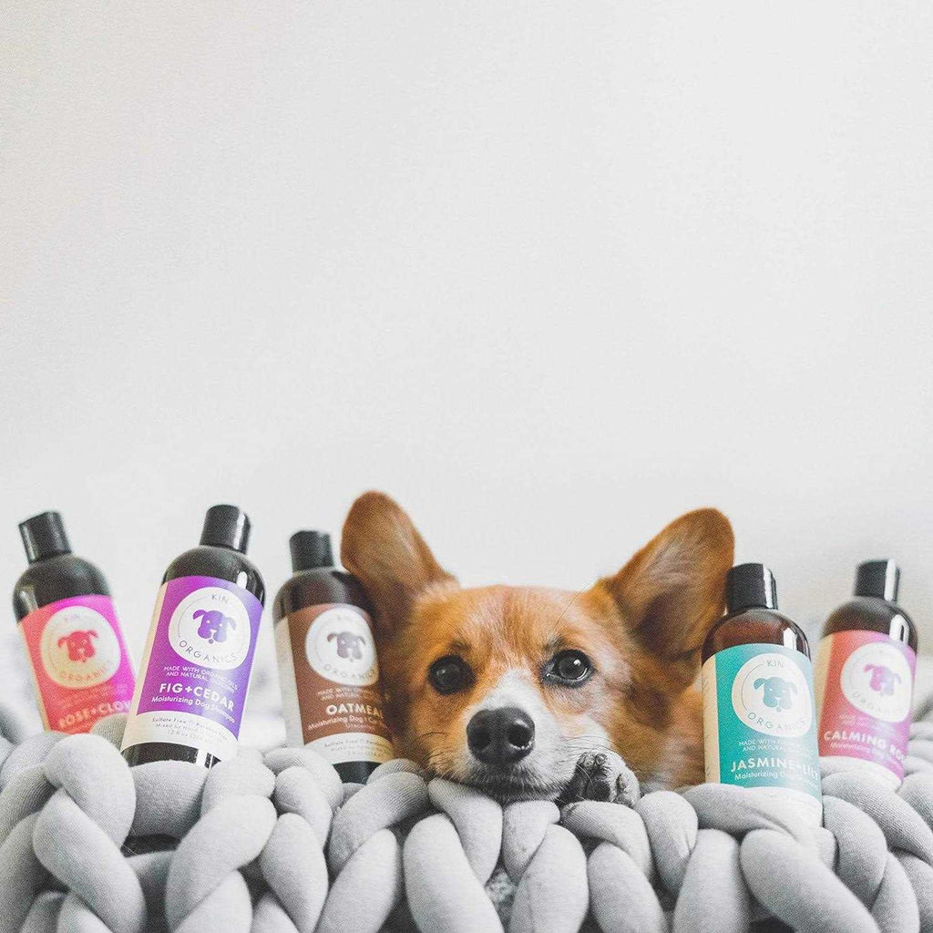 Jasmine & Lily Dog Shampoo X8429