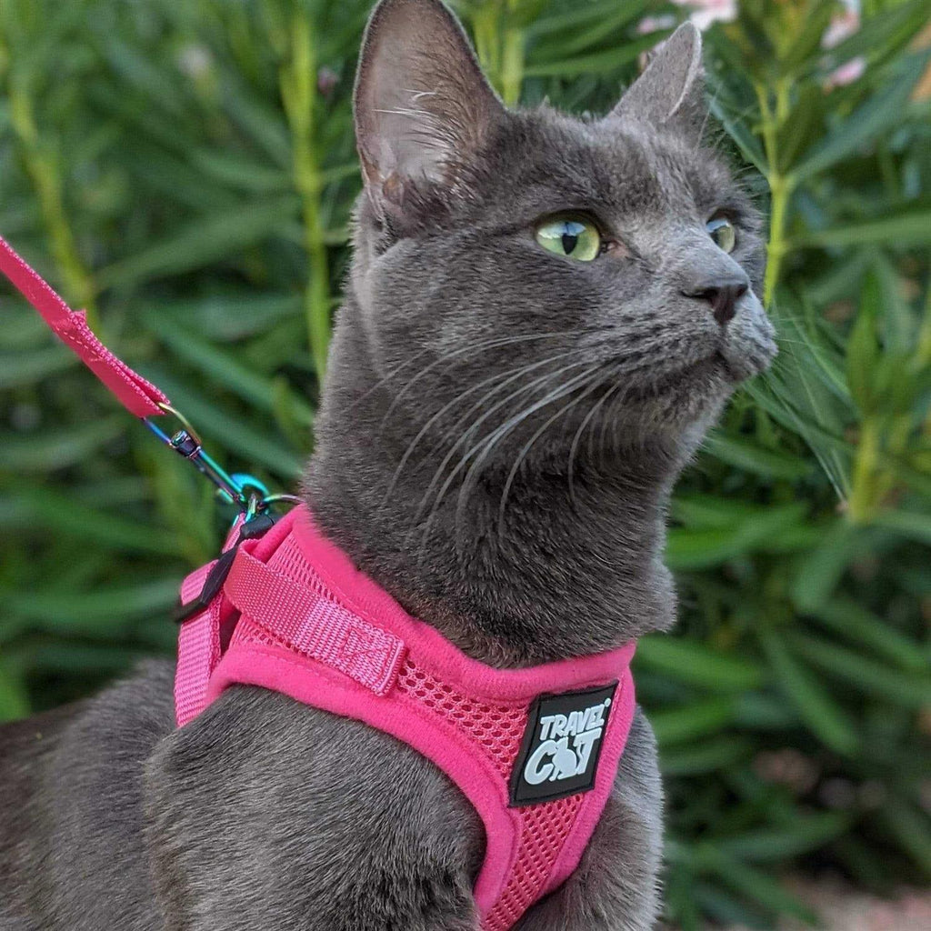 Reflective Cat & Kitten Harness and Leash A841733