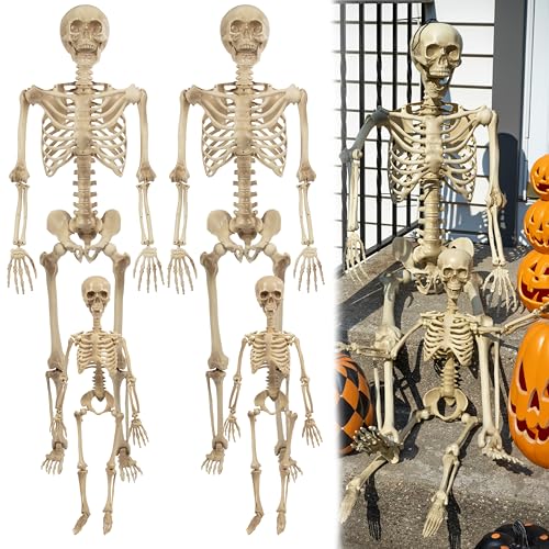 Life Size Posable Human Skeleton 4pk H1185